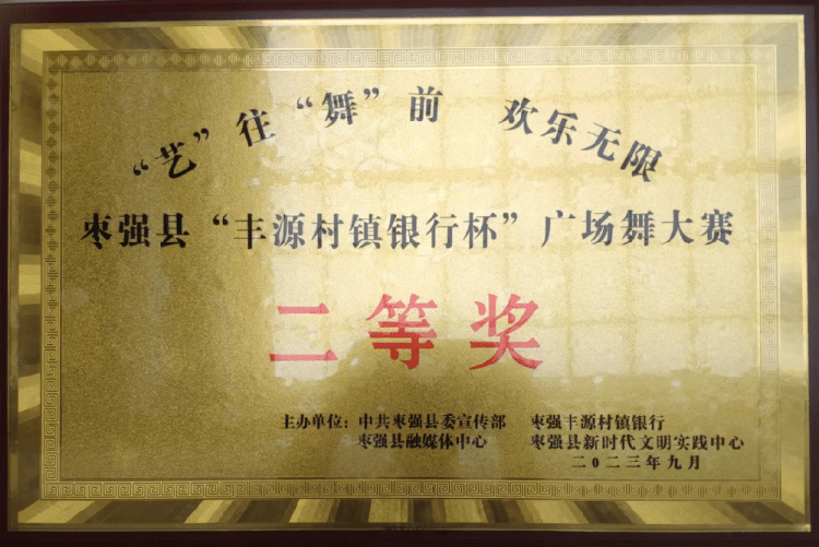 枣强县老年大学舞蹈队荣获广场舞大赛二等奖