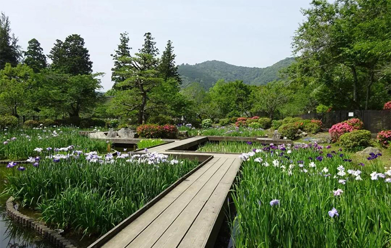疗愈花园（healing garden）景观设计