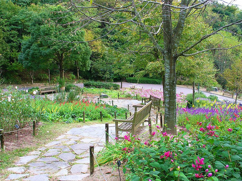 疗愈花园（healing garden）景观设计